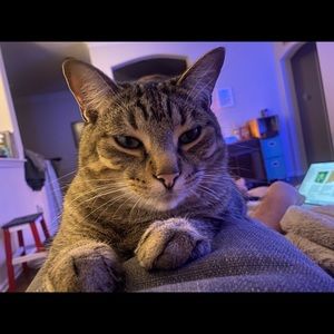 Meet your Posher, Meriah